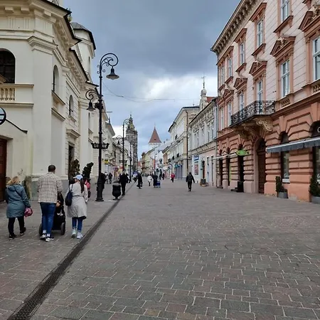 Apartament Mlynska Center With Private Parking