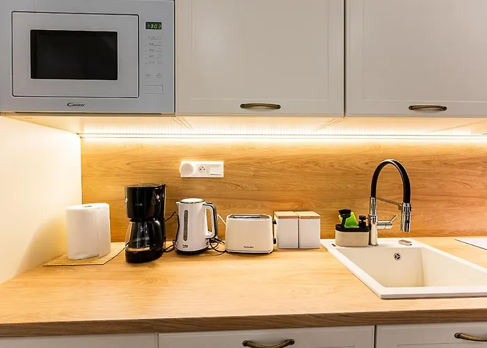 דירה Mlynska Center With Private Parking קושיצה